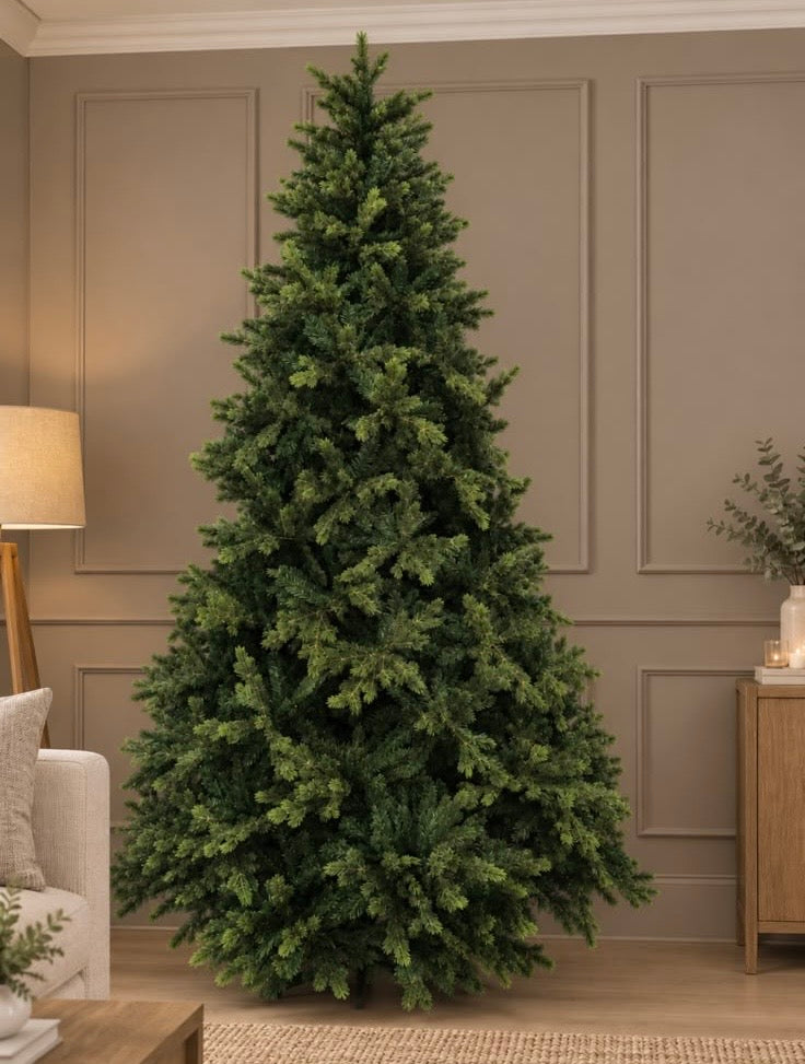 8ft Malmo Spruce Tree