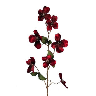 Deep Velvet Dogwood 80cm