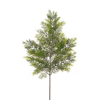 Cedar Pine Spray 68cm