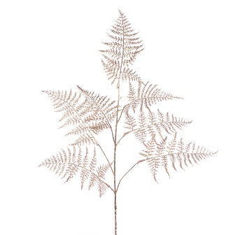 Metallic Asparagus Spray 86cm - Champagne